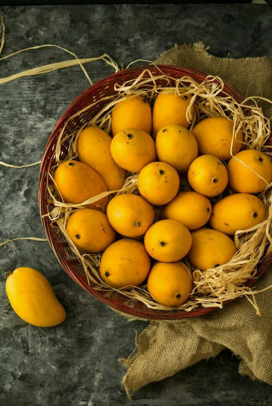 Alphonso Mango Magic: A Taste Tour of India's Treasured Fruit