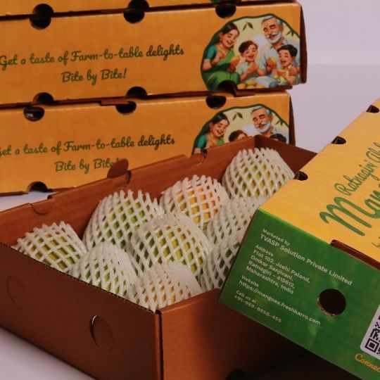 Ratnagiri Alphonso Mango (170 - 200 Gms)