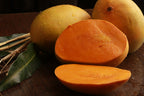 Alphonso Mango