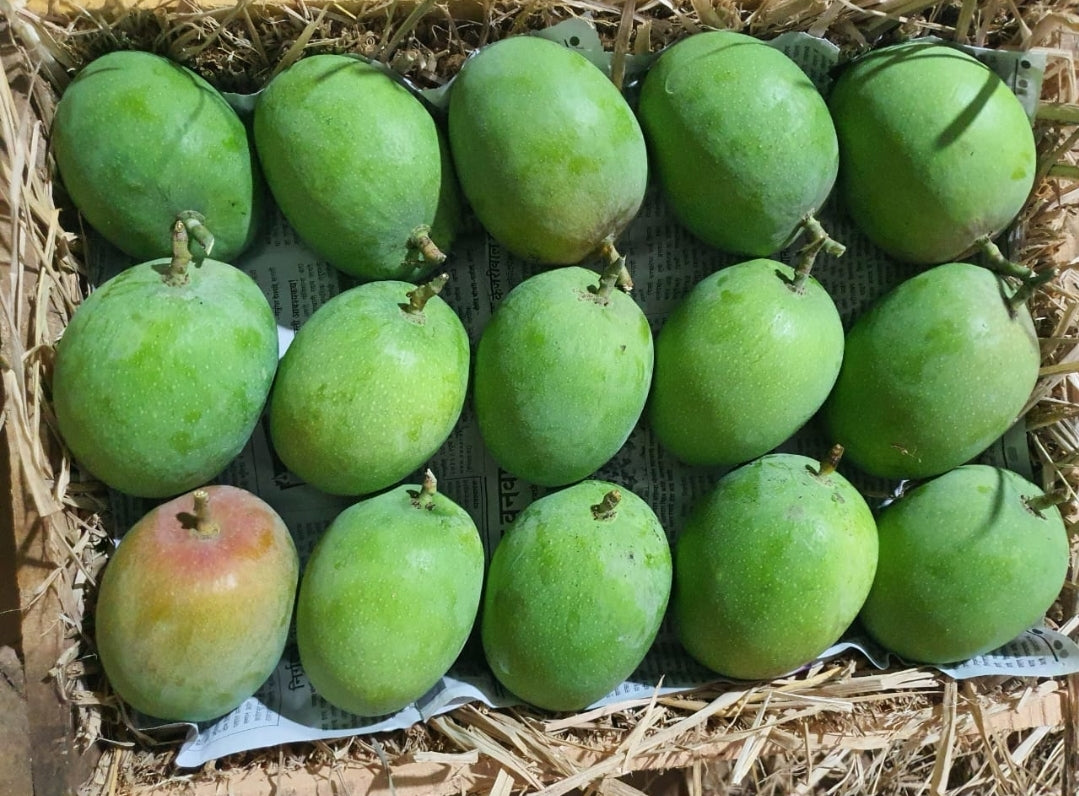 Green Mangoes (unripe)